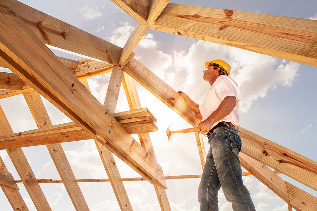 Construction Board and Wood